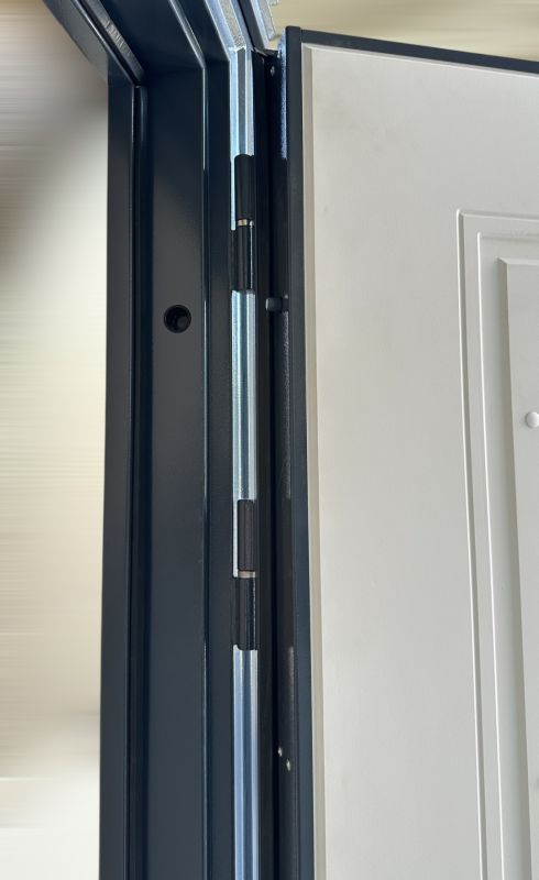 MDS DOORS Armada
