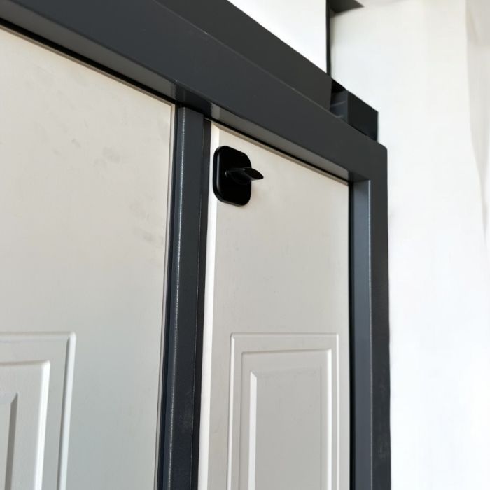 MDS DOORS Armada