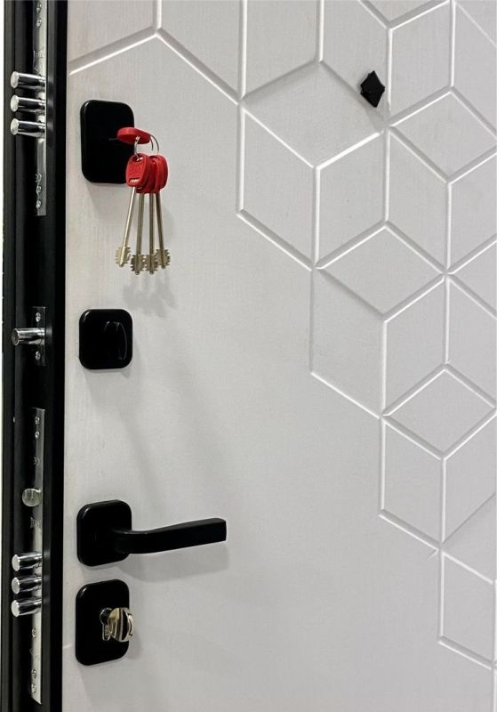 MDS DOORS NEO
